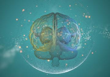 Decálogo de la psicología del ‘marketing’ 