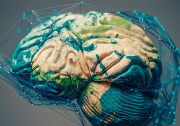 https://www.harvard-deusto.com/sites/default/files/styles/article_normal/public/2021-07/ecosistemas-empresariales.jpg?itok=9uT23Hww&x=1790242809