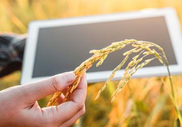 https://www.harvard-deusto.com/sites/default/files/styles/article_normal/public/2021-07/ingredientes-innovacion.jpg?itok=XHNuwvYn&x=1746870916