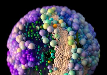 Si hay equipo, hay diversidad