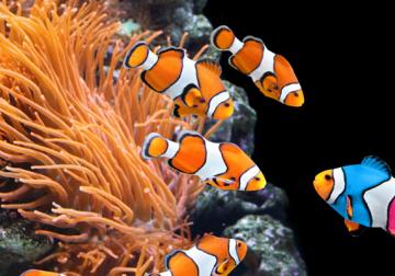 La inteligencia artificial aplicada de forma eficaz al 'marketing'