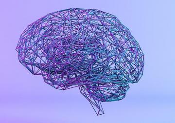 https://www.harvard-deusto.com/sites/default/files/styles/article_normal/public/2022-03/tranformacion-digital.jpg?itok=7Qq5UAZk&x=1790021860