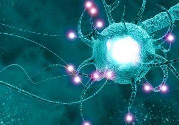 https://www.harvard-deusto.com/sites/default/files/styles/article_normal/public/2022-04/ciencia-praxis.jpg?itok=WiWQXU4U&x=1757398171