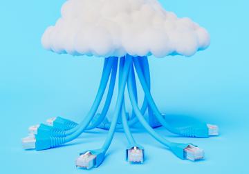 https://www.harvard-deusto.com/sites/default/files/styles/article_normal/public/2022-04/foto1.jpg?itok=UVzpzBE-&x=1754572605