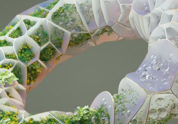 La tarificación interna del carbono, una iniciativa para la sostenibilidad