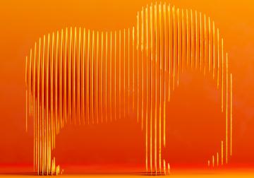 Experiencias de marca colaborativas: cómo se gana