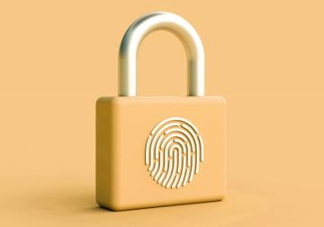 https://www.harvard-deusto.com/sites/default/files/styles/article_normal/public/2023-12/foto-machine-learning.jpg?itok=AJlTzBQ9&x=1784301811