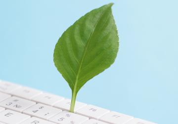 https://www.harvard-deusto.com/sites/default/files/styles/article_normal/public/2024-04/foto-influjo-palabra-verde.jpg?itok=SWywgtg8&x=1784270966