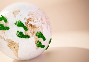 https://www.harvard-deusto.com/sites/default/files/styles/article_normal/public/2024-07/foto-estrategia-ecosistema.jpg?itok=jIh2L3cw&x=1786145009