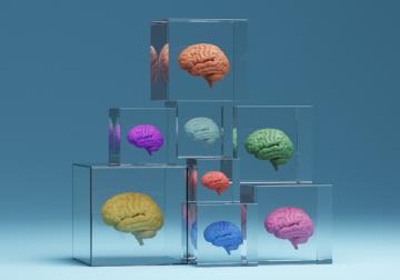 https://www.harvard-deusto.com/sites/default/files/styles/article_normal/public/2024-11/foto-rapido-inteligente-humanista.jpg?itok=f8PlKuFP&x=1784234354