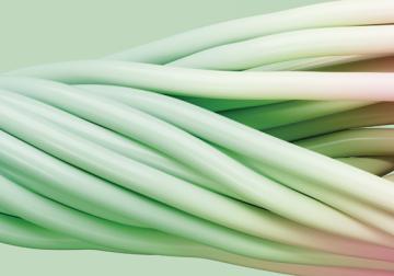 Doce requisitos de la adaptabilidad empresarial