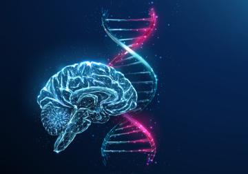 https://www.harvard-deusto.com/sites/default/files/styles/article_normal/public/2025-03/foto-codigo-invisible-genero.jpg?itok=2kQFyHi9&x=1784205736