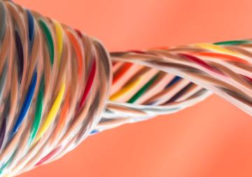 Confianza, reputación y marca: fuentes de legitimidad social