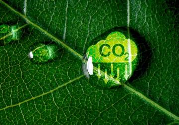 La sostenibilidad no cabe en una etiqueta “eco”