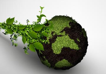 La red ecoSOStenista: ‘ikigai’, metas y propósito empresarial