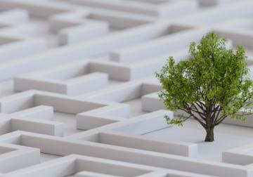 Las nuevas fronteras de la sostenibilidad empresarial