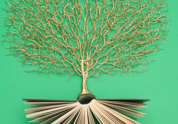 Punto de Vista: Patricia Acedo, People & Culture Director en Northius