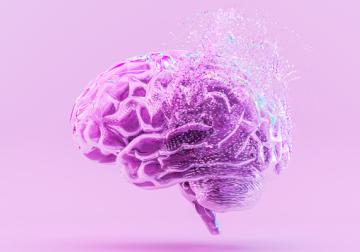 Aprendizajes de la neurociencia para forjar una cultura resiliente