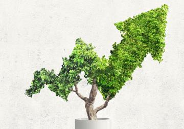 Las bases de un crecimiento sostenible