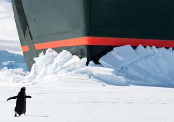 Cuando el talento no basta: lecciones de la épica conquista del Polo Sur