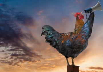 Comunicación consciente: las bases de una reputación sólida