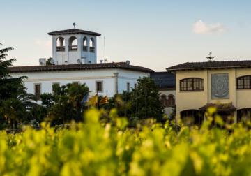 Punto de Vista: Marta Vidal, CEO de Vallformosa