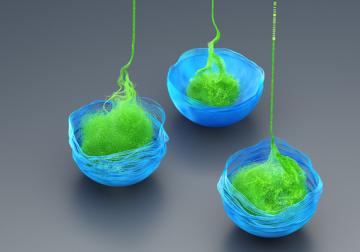 Entre el alma y la estructura: la encrucijada de la empresa familiar