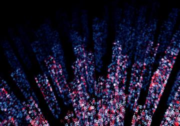 https://www.harvard-deusto.com/sites/default/files/styles/article_normal/public/istock-845666940.jpg?itok=613C28op&x=1790052383