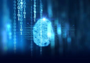 https://www.harvard-deusto.com/sites/default/files/styles/article_normal/public/istock-853684658_1.jpg?itok=J3Ok7ytP&x=1755038403