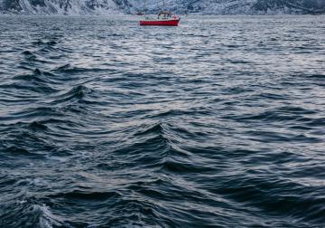 https://www.harvard-deusto.com/sites/default/files/styles/article_normal/public/photo-1443926886562-c91054221a5c_3.jpg?itok=moBH5WCo&x=1786086811
