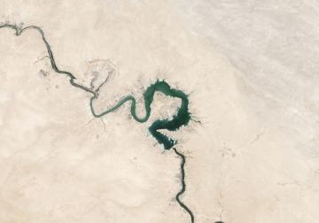 https://www.harvard-deusto.com/sites/default/files/styles/article_normal/public/photo-1462726625343-6a2ab0b9f020_1.jpg?itok=n_WF6tVO&x=1755680579