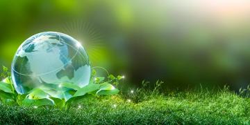 Sostenibilidad en la empresa, la única estrategia posible