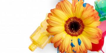 Arte, diseño y márketing: una mezcla  inseparable