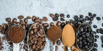 El hijo de bob marley levanta un imperio de café
