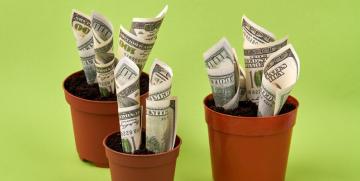 Crecer mucho, crecer deprisa: la ambición del ‘growth hacking’