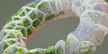La tarificación interna del carbono, una iniciativa para la sostenibilidad
