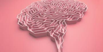 Entrevista a Wiliam Ury. Resolución de conflictos 2.0: el marco mental del posibilista