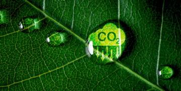 La sostenibilidad no cabe en una etiqueta “eco”