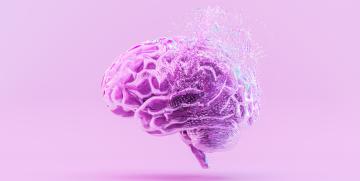 Aprendizajes de la neurociencia para forjar una cultura resiliente