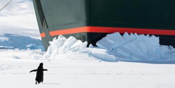 Cuando el talento no basta: lecciones de la épica conquista del Polo Sur