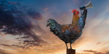 Comunicación consciente: las bases de una reputación sólida