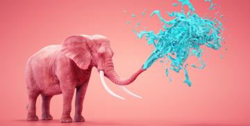 Marketing de la sorpresa: el arte de lo inesperado