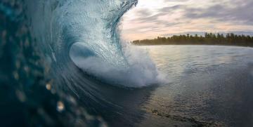 Tsunami digital: Cuatro transformaciones todavía desconocidas