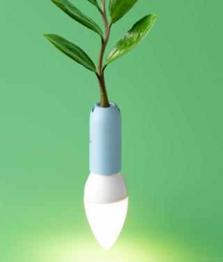 Un liderazgo consciente y sostenible