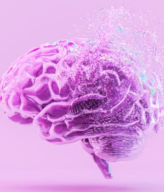 Aprendizajes de la neurociencia para forjar una cultura resiliente