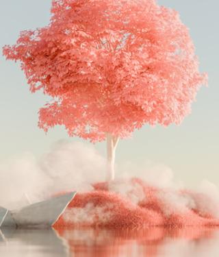 El liderazgo silencioso: qué aporta la neurosemiótica a la gestión de equipos