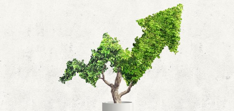 Las bases de un crecimiento sostenible