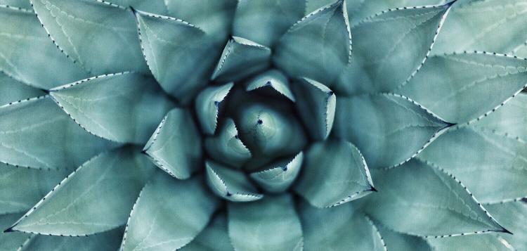 Cómo aprovechar la oportunidad digital: diez estrategias efectivas