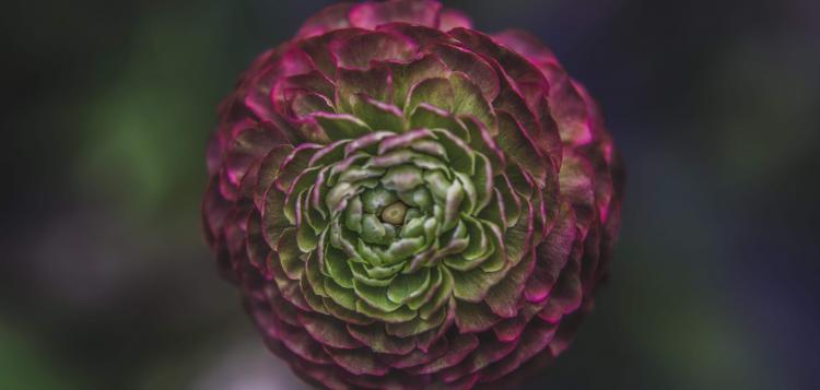 Cómo aprovechar la oportunidad digital: diez estrategias efectivas